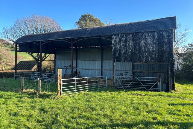 Barn At Northleigh,, Northleigh, Devon photo 4