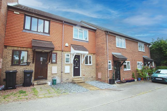 39, Robinia Close, Steeple View photo 3
