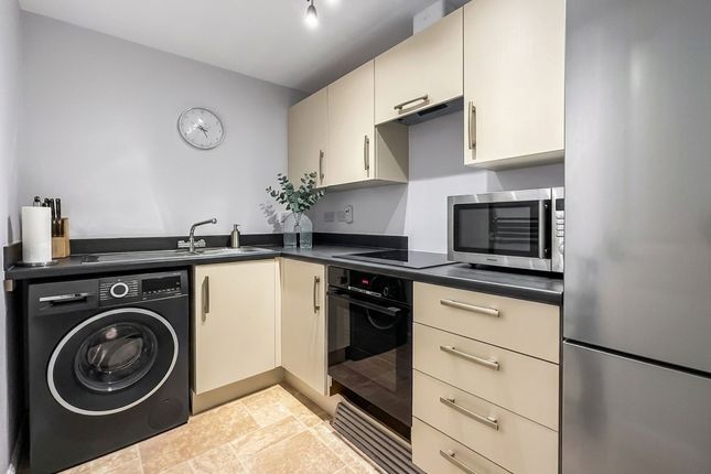 11 Gilligans Way, Hamilton photo 4