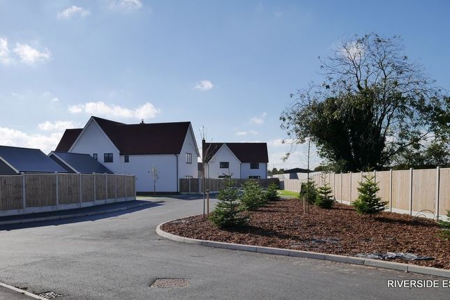Detached house for sale in Final Plot Remaining Springfields, Tiptree, Essex