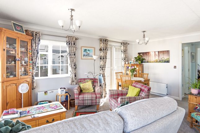 8, Beech Avenue, York photo 3