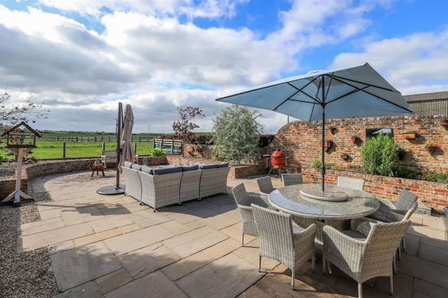 Terrace And Views