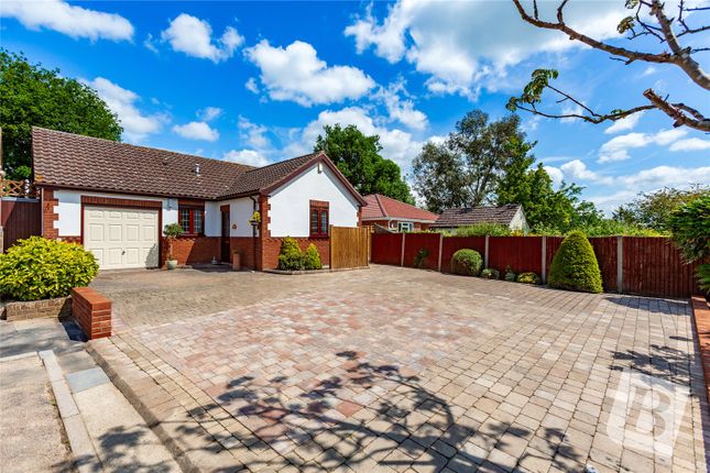 Thumbnail Detached bungalow for sale in Appletree Close, Doddinghurst, Brentwood, Essex