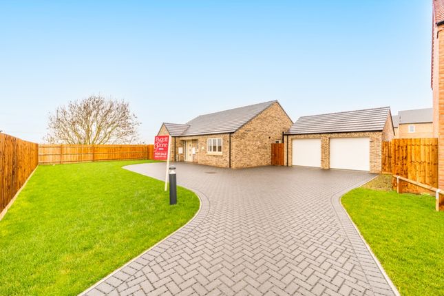 Thumbnail Bungalow for sale in 14 Hickory Close, Wignals Wood, Holbeach, Spalding, Lincolnshire