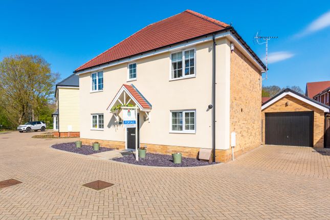 Thumbnail Detached house for sale in Woodpecker Close, Halstead, Essex