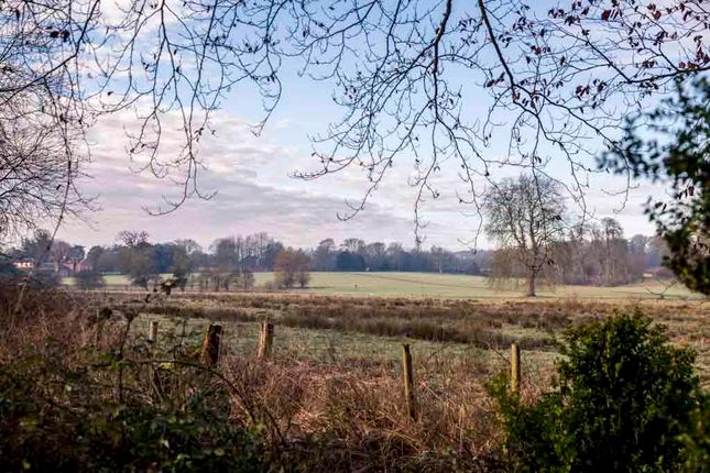 Thumbnail Property for sale in Sequoia Lane, Braishfield, Romsey, Hampshire