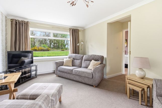 17 Brodick Place, Falkirk photo 2