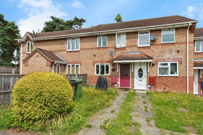 Thumbnail Terraced house for sale in Lavender Court, Thetford