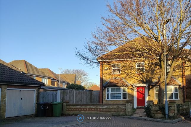 Thumbnail Detached house to rent in Foxglove Road, Rush Green