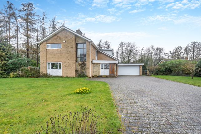 Thumbnail Detached house for sale in Black Swan Spinney, Wansford, Peterborough