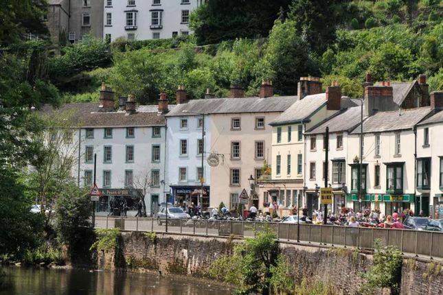 Picturesque Scene.Jpg