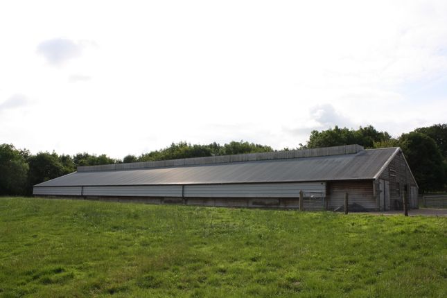 Land for sale in The Hen House, Taynton, Gloucestershire