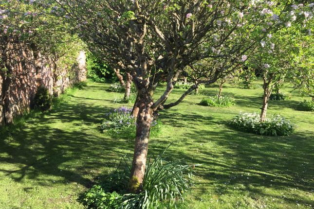 Orchard