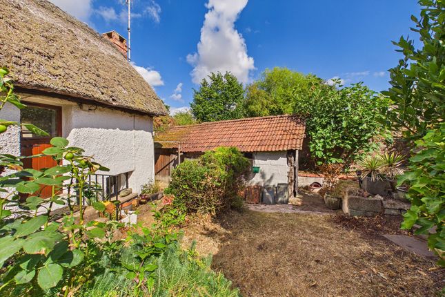Clovelly Cottage, Crediton photo 4