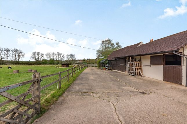 Littlestead Green Farm,, Row Lane, Reading photo 3