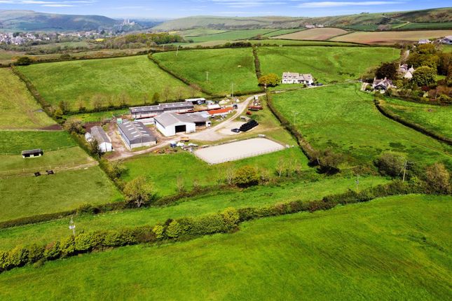 Thumbnail Farmhouse for sale in Little Woolgarston Farm, Corfe Castle, Wareham