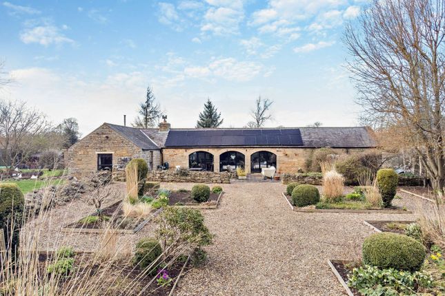 Thumbnail Bungalow for sale in Low Barns, Hartburn, Morpeth, Northumberland