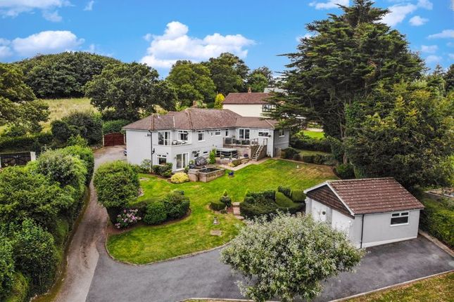 Thumbnail Detached house for sale in Sladnor Park Road, Torquay