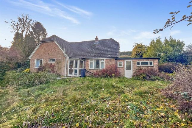 Thumbnail Detached bungalow for sale in Blandford Road, Salisbury