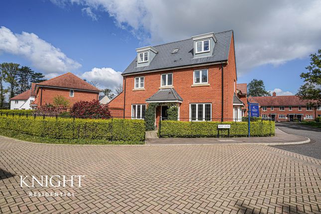 Thumbnail Detached house for sale in Kent Close, Colchester