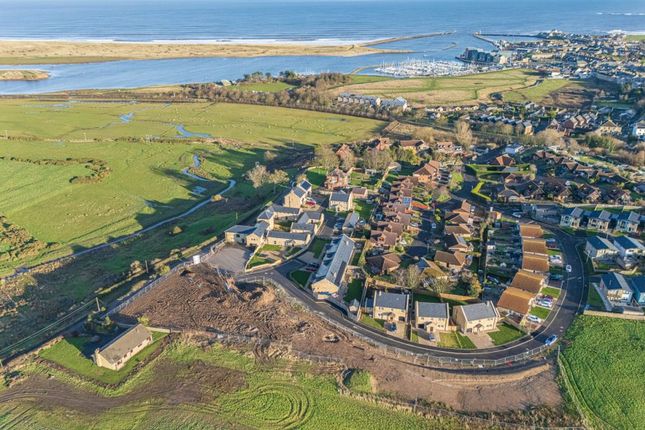 Plot G11 Cornucopia , Plot G11, Cornucopia, Cove Way, Amble photo 2