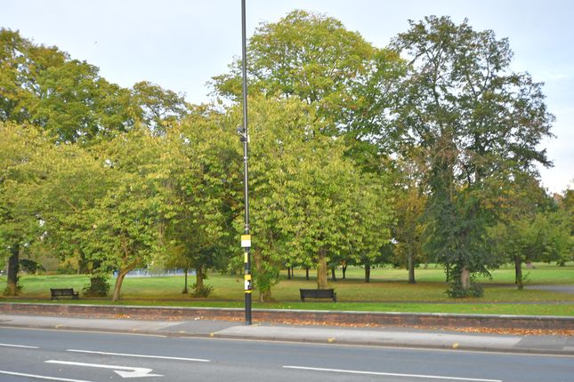 Park Opposite