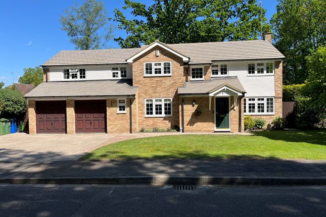 Front Aspect