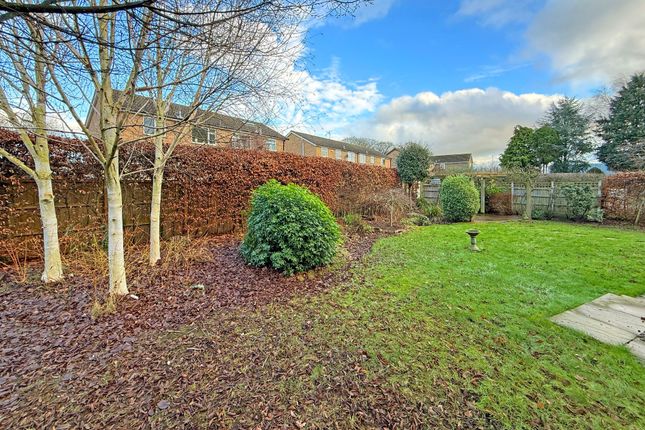 Riverslodge Fishergreen, Ripon photo 3