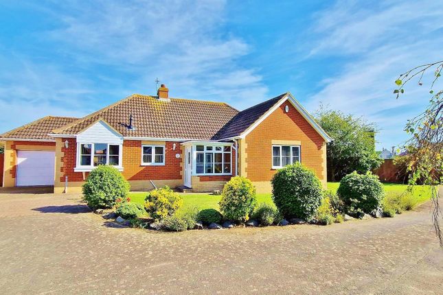 Thumbnail Detached bungalow for sale in Bloom Close, Frinton-On-Sea