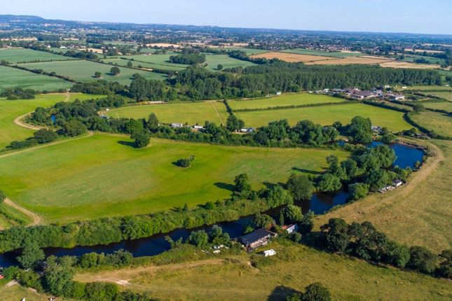 Almere Ferry Farm, Trevalyn, Wrexham photo 3