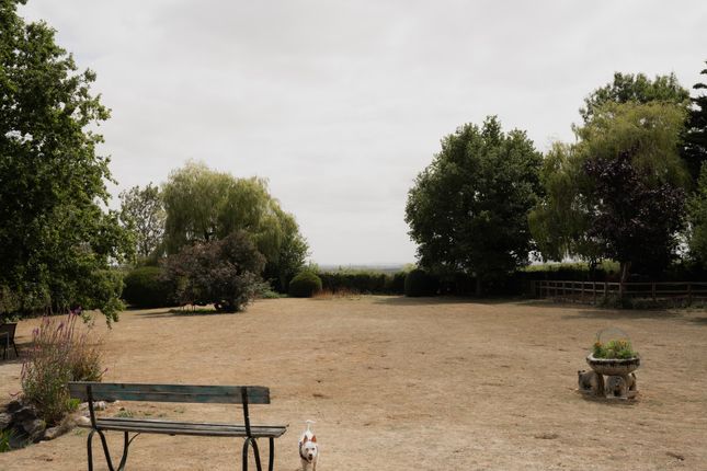 306714 - Blue Gates, Cambridge-57.Jpg