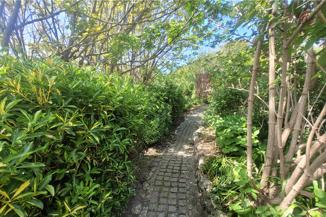 The Cliff Path Bonchurch, Ventnor photo 4