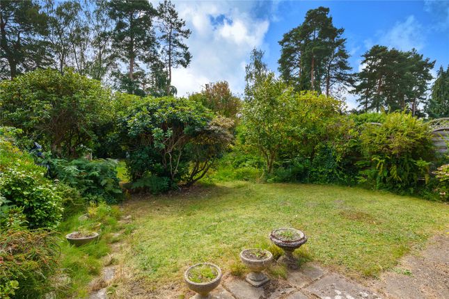 95, MacDonald Road, Surrey photo 2