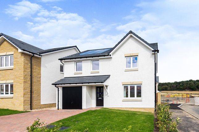 Thumbnail Detached house to rent in Curlew Way, Inverkeithing, Fife