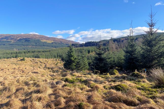 Land for sale in Wester Lix, Killin