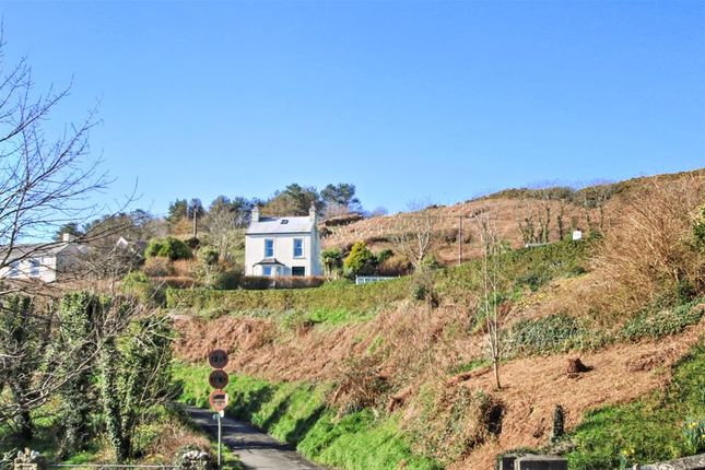 Langness View