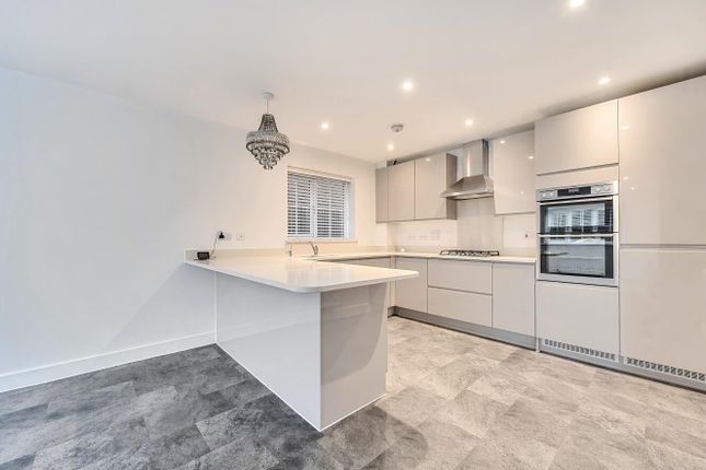 Swallowtail Grove, Camberley photo 3