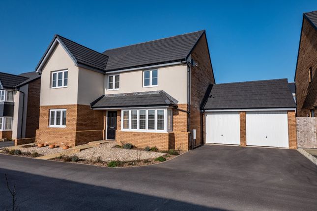 Thumbnail Detached house for sale in Sanderling Close, Bude, Cornwall