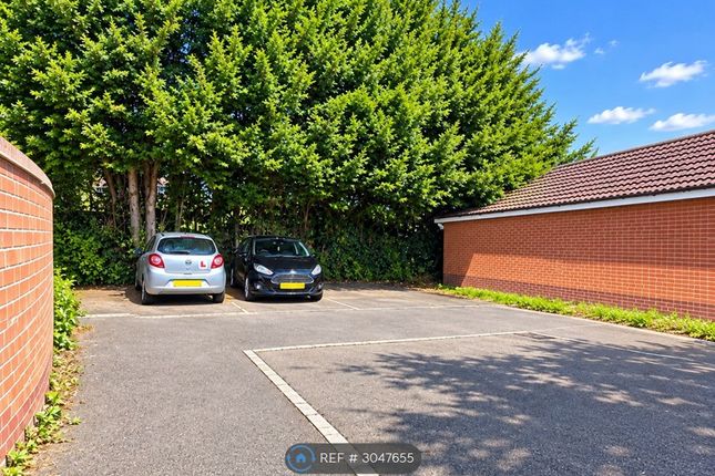 St James Gardens, Mansfield Woodhouse, Mansfield photo 2