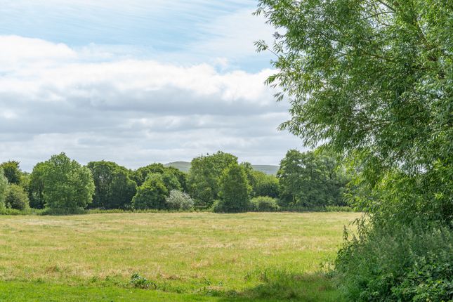 Paddocks