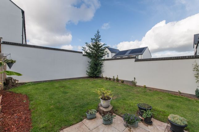 29 Elm Park Way, Exeter photo 3