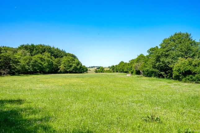 Extensive Grounds