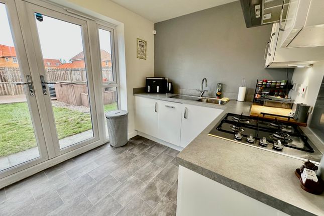 17, Yarborough Drive, Doncaster photo 3