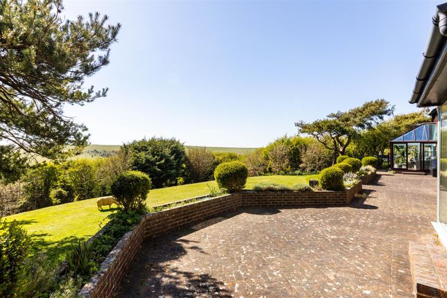 Rear Patio