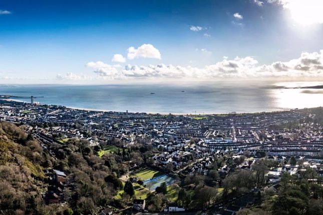 Golwg Y Bae, Swansea photo 5