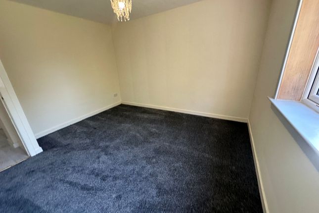 116, Motherwell photo 4