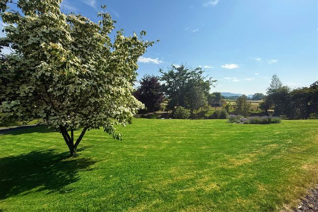 New Garden Photo 2.Jpg