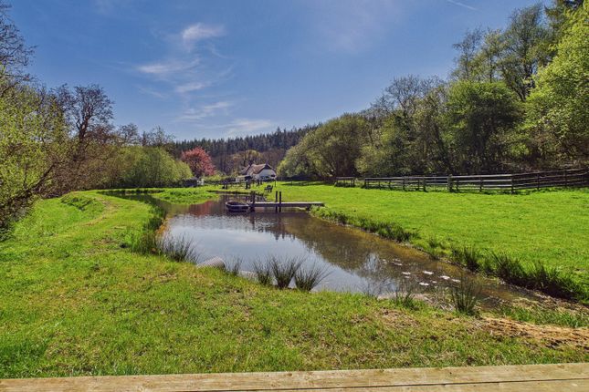 Little Kidland, Knowstone, South Molton photo 4
