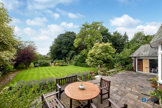 Back Garden
