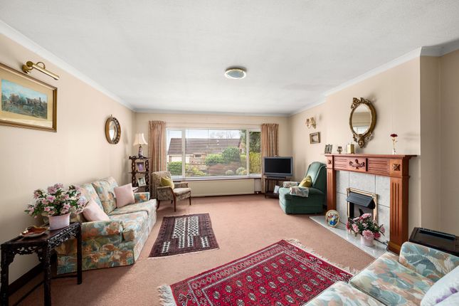 83a Dundee Road, Dundee photo 4